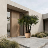Chinese waaierpalm met drie stammen - 160 cm